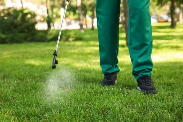 Best Termite Control Services  in Post, TX