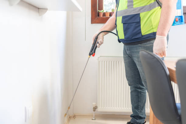 Best Local Pest Control Services  in Post, TX