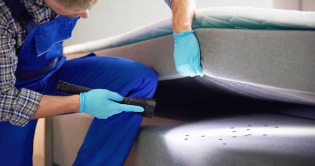 Best Best Pest Control Companies  in Post, TX