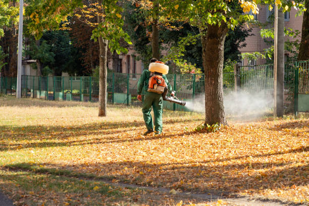 Pest Control Cost in Post, TX