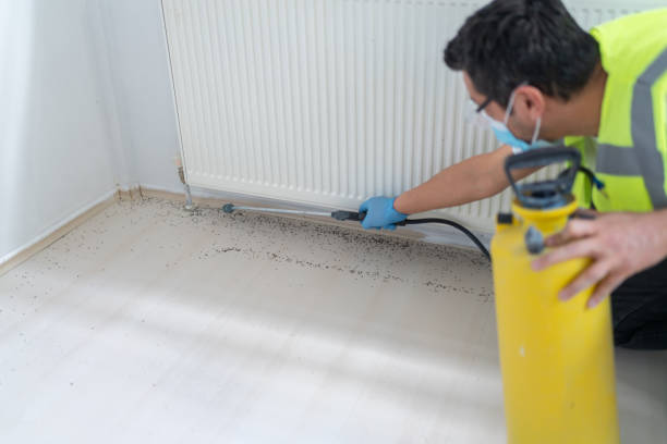 Pest Control for Restaurants in Post, TX